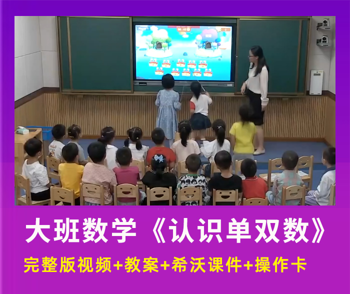 幼儿园优质公开课大班数学《认识单双数》