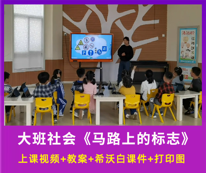 幼儿园优质公开课大班社会活动《马路上的标志》